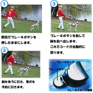 �t���L�V���[�h�@�T�}�[�^�C���r�@�s���N