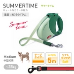 �t���L�V���[�h�@�T�}�[�^�C���l�@�O���[��