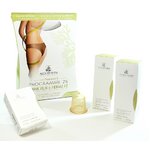 アルゴテラム　アルゴシルエットプログラム２１