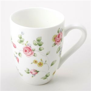 WEDGWOOD(�E�F�b�W�E�b�h) �}�O�J�b�v&�v���[�g20cm �Z�b�g ���[�Y