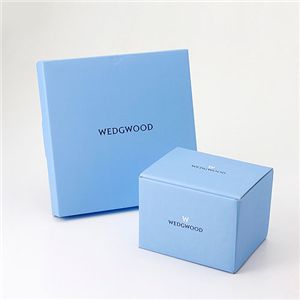 WEDGWOOD(ウェッジウッド) マグカップ&プレート20cm セット ローズ