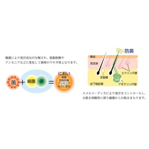 XEfBJ 60g 2Zbg摜R