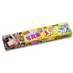 ぷっちょワールドAKB48 写真集 10粒×12本入 ／ UHA味覚糖