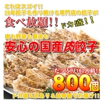 【ワケあり】安心の国産餃子800個!!160人前!!