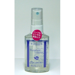 除菌消臭剤　携帯用スプレー　ハンドクリームミスト  2本セット