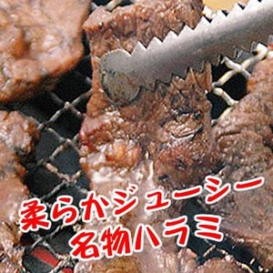 【人気の焼肉】柔らかハラミ肉☆旨いタレ漬け8人前!（400g×2）
