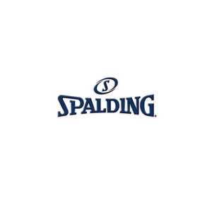 SPALDING HIGH BALLACA6{Zbg VtgS摜3