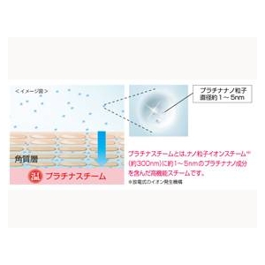 Panasonic(パナソニック) イオンスチーマー ナノケア EH-SA90-N ゴールド調