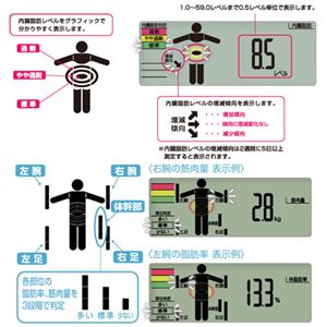 TANITA InnerScan BC-612-GD摜R