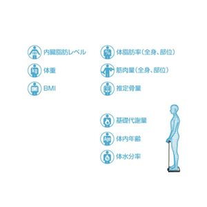 TANITA InnerScan BC-612-GD摜S