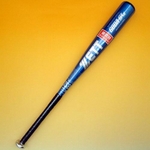 ZETT（ゼット） 少年軟式バット『GODA-SL』 ブルー 74cm×570g平均 BAT79414-2300 ブルー(2300) 74cm/570g平均