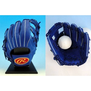 2010年モデル RAWLINGS（ローリングス） ジュニア軟式用グローブ 『アルモニックシリーズ』 ブルー