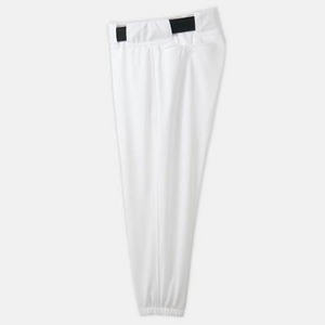 ����2010�N�J�^���O�f�ڕi���� MIZUNOPRO�i�~�Y�m�v���j ���j�t�H�[���p���c�E�x���g���[�v�^ �A�C�{���[(48) L�T�C�Y�摜����1