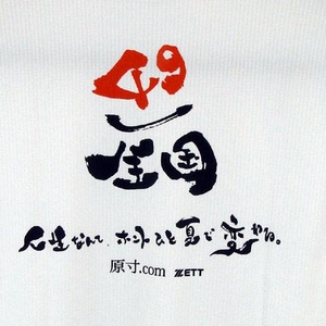 �w49/�S���x��������T�V���c ���N�p �z���C�g(1103) 160�C���[�W��