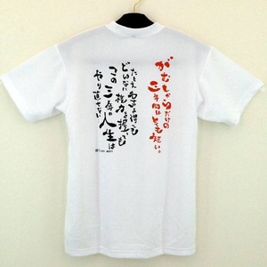 �w���ނ���炾���̓�N�Ԃ́c�x��������T�V���c ���N�p �z���C�g(1108) 140�摜����1