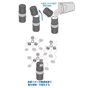 ZATRۃNX^[Q 12  +  RgUZbg Vo[摜R