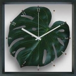 《掛時計》Monstera deliciosa / Green(モンステラ デリシオサ/緑)