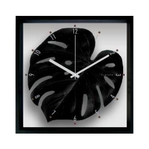 �s�|���v�tMonstera deliciosa / Black(�����X�e�� �f���V�I�T/��)