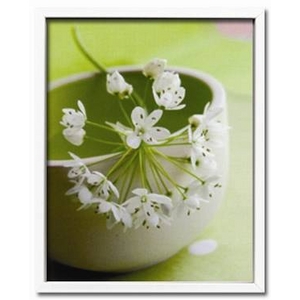 �s�A�[�g�t�H�g�t���[���tFleurettes