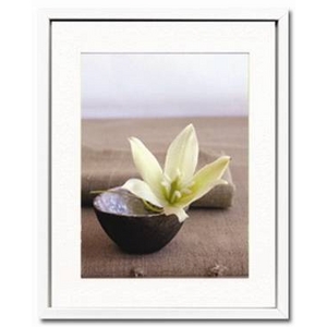 �s�A�[�g�t�H�g�t���[���tFleur de yucca