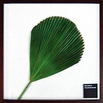 《リーフパネル》Vanuatu fan palm(バヌアツ ファン バーム) タイプ2 【サイズ 525x525x30mm】