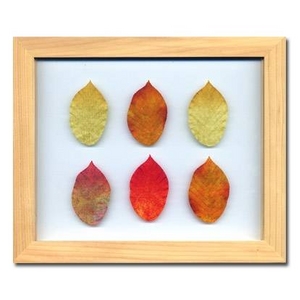 《プラント　アートフレーム》Birch Leaf（バーチリーフ）