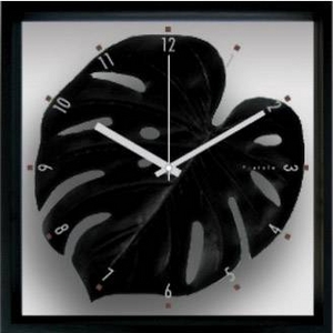 iX s[tpltF-style Clock Monstera deliciosa / Black@(XeEfVIT)摜1