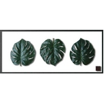 《リーフパネル》F-style Frame Monstera deliciosa(モンステラ・デリシオサ)