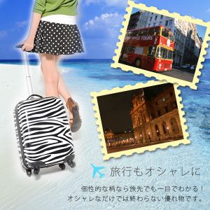 SunRuckiTbNj [uAj}L[ SR-C01摜Q