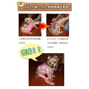 SunRuckiTbNj ybgL[ XLTCY SR-P005XL摜Q