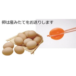 越後のぜいたく三昧たまごかけごはんセット（生卵10個・醤油300ml・お米1kg） 【代引不可】産み立て新鮮卵を新潟産コシヒカリで!
