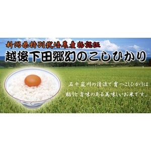 越後のぜいたく三昧たまごかけごはんセット（生卵10個・醤油300ml・お米1kg） 【代引不可】産み立て新鮮卵を新潟産コシヒカリで!