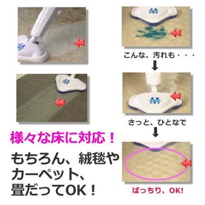 H2Oスチームモップ どかんと100枚! 超お得!交換/換えパッドセット（使い捨て）