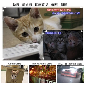 【小型カメラ】液晶ファインダー付 デジタル ビデオカメラ　ちびカムＨＤ G200