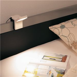 TWINBIRD(ツインバード) LEDベッドライト LE-H222W ホワイト