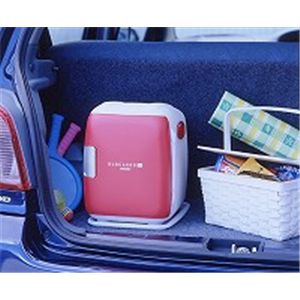 TWINBIRD(ツインバード) 2電源式コンパクト電子保冷保温ボックスデュオカーゴSi OR-C638R レッド