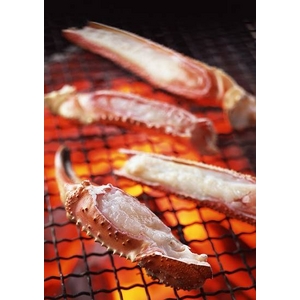 �y�󂠂�z�@�@���Y���C�K�j�T�����Z�b�g�Ⓚ�i���M�����p�j�@4L�T�C�Y�@15���O�����@���H����������������������̉��i�I