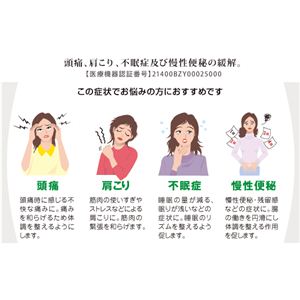 ATEX(アテックス) 家庭用電位治療器 イオネス セミダブル ATX-HM1005SD 【温熱機能付き】