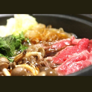 【某高級焼肉店に卸しているA4・A5等級のみ】A4・A5等級のみ黒毛和牛切り落とし500g
