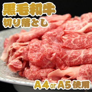 【お中元用　のし付き（名入れ不可】某高級焼肉店に卸しているA4・A5等級のみ黒毛和牛切り落とし1kg