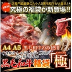 【お中元用　のし付き（名入れ不可）某高級焼肉店に卸しているA4・A5等級のみ】黒毛和牛究極福袋 1.8kg