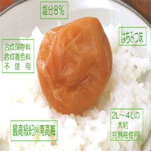 【訳あり】紀州南高梅・はねだし梅ハチミツ 500g×4