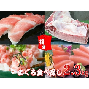 【訳あり】本マグロ大トロ入り食べ尽し福袋 2.3kg　船元直送だから実現！本当に貴重な逸品がこの価格！850084134