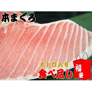 【父の日用】本マグロ大トロ入り食べ尽しセット 1kg　船元直送だから実現！本当に貴重な逸品がこの価格！！850084135