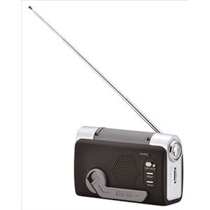 STR-03 HOME SWAN エコロジートリプルラジオ