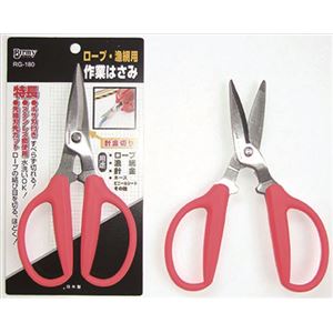 DS-R205 ドイツスニップスR