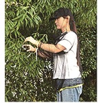 F7293 菜菜畑 虫除けネットパーカー ブラック