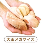 消臭 除湿剤　くり返し使える♪ お部屋さわやかストーン　[大玉5kg]