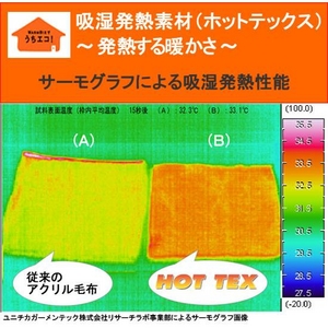 あったか発熱毛布 ホットテックス(HOT TEX) ニューマイヤー毛布 シングル ルント柄ベージュ