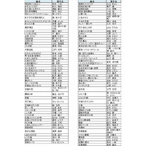 ON STAGE（オンステージ） 専用追加曲チップ 演歌・歌謡曲（100曲入りチップ）　PK-ST8